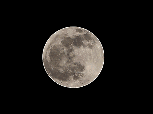 150年来头一回!磁县人千万别错过明晚这轮超级"红蓝月亮"