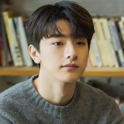 2022韩式中分发型男,别致的清新自然风