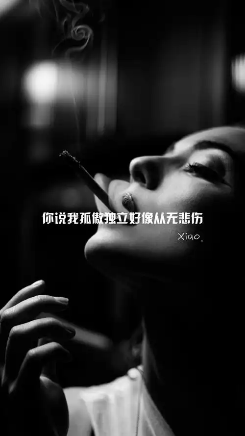 你说我孤傲独立好像从无悲伤(伤感唯美文字壁纸)