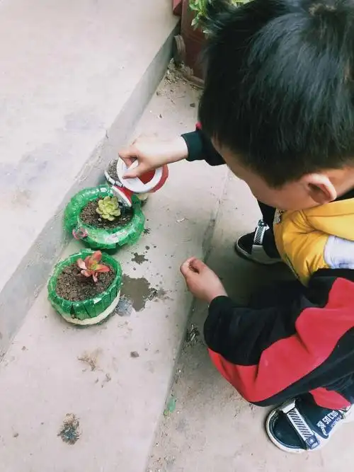 四通镇喜洋洋幼儿园学前二班 亲子活动《和孩子一起种绿植,让孩子体会