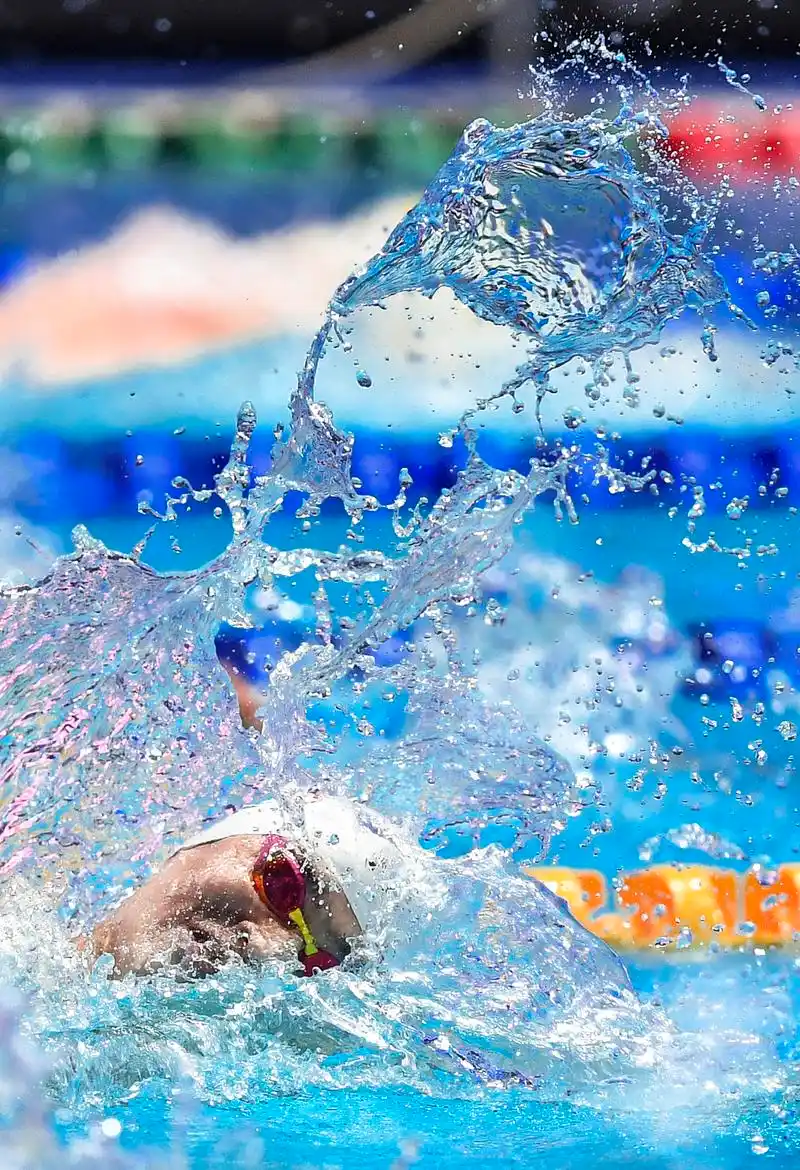 游泳世锦赛|孙杨晋级男子200米自由泳决赛