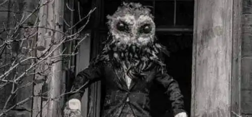 外星物种?英国居然出现了猫头鹰人,半人半鹰的怪异生物