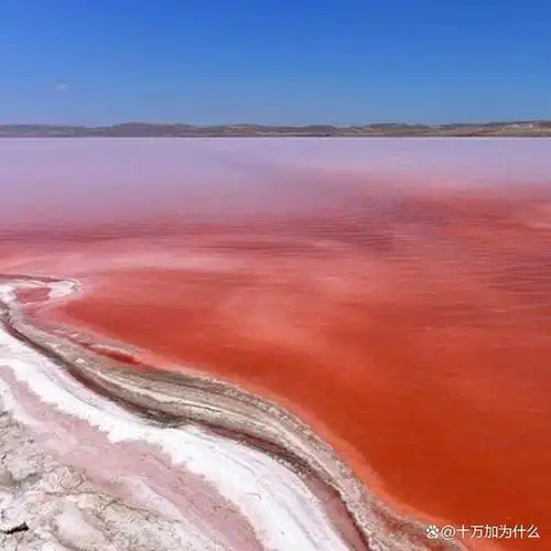 红海,这个名字听起来就让人感到神秘.