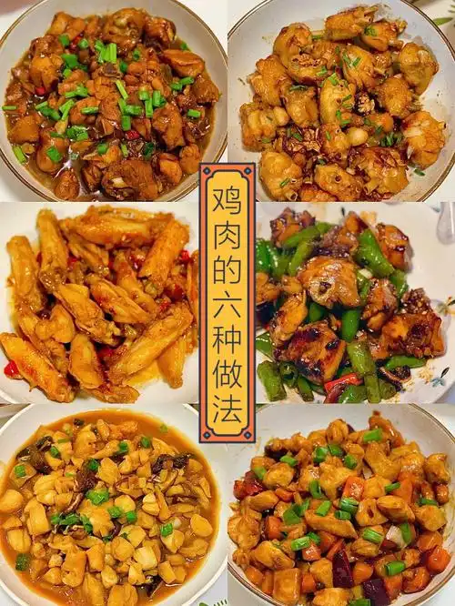 家常菜菜谱鸡肉的6种做法快手菜