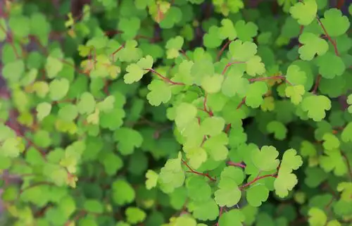 地址:北京市怀柔区九渡河镇西水峪 微信公众号:水长城 抖音号:黄花城