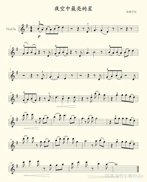 有哪些适合小提琴演奏的流行歌曲