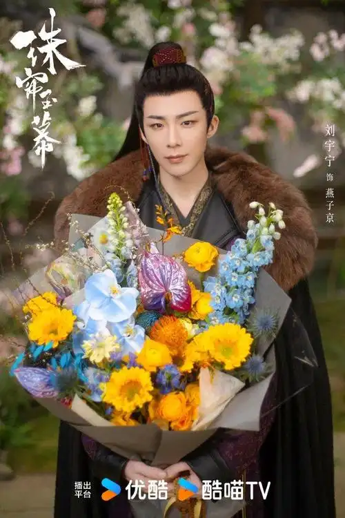 赵露思刘宇宁主演古装传奇剧珠帘玉幕杀青