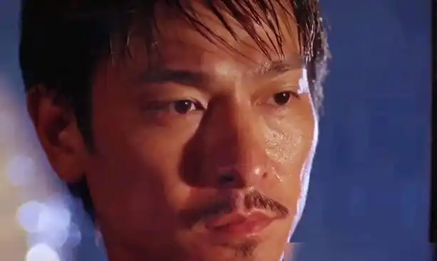 刘德华多年来票房最辉煌的一年其中阿虎中的演技可以封神