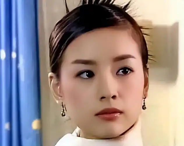 董洁个人资料 董洁王大治当年事件-思宇生活