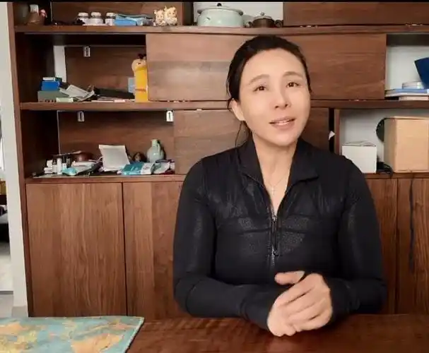 作家陈岚继续挑衅江歌妈妈让其尽快起诉届时会拿出人证和物证