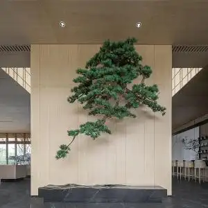 新中式倒挂仿真迎客松罗汉松茶室造景会所售楼处禅意室内绿植景观