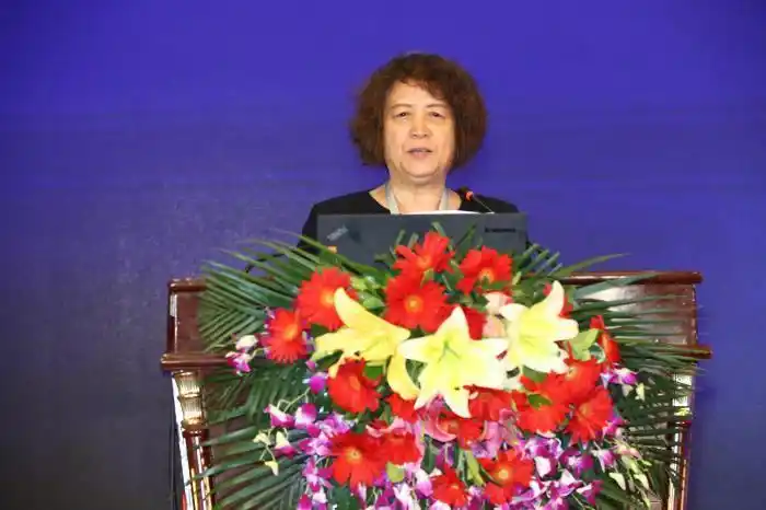 何翠芹出席大会并致开幕辞,工信部信息化和软件服务业司巡视员李颖