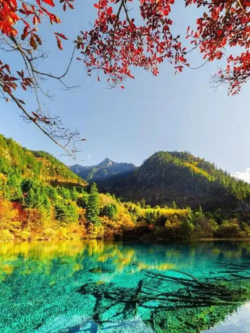 云海|风景|落日|碧海|天堂_网易订阅