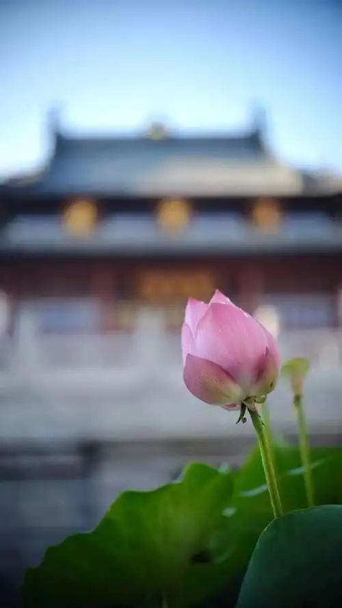 界文法师一佛法的修心之道 (四)修心问答-中华网佛学