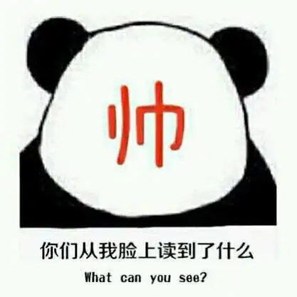 帅熊猫头从脸上读到什么斗图搞笑gif动图_动态图_表情包下载_soogif