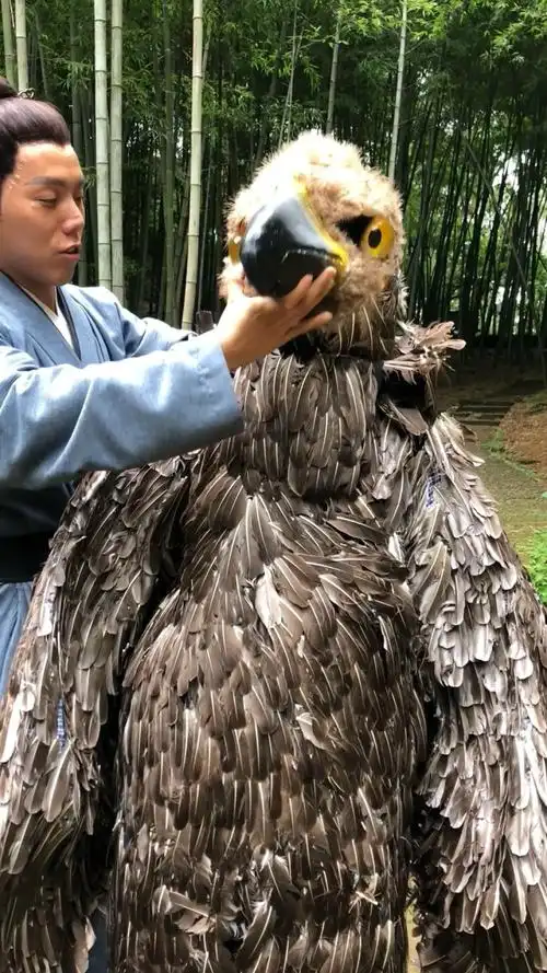 演杨过身边的那只雕一天2000元没想到那么高