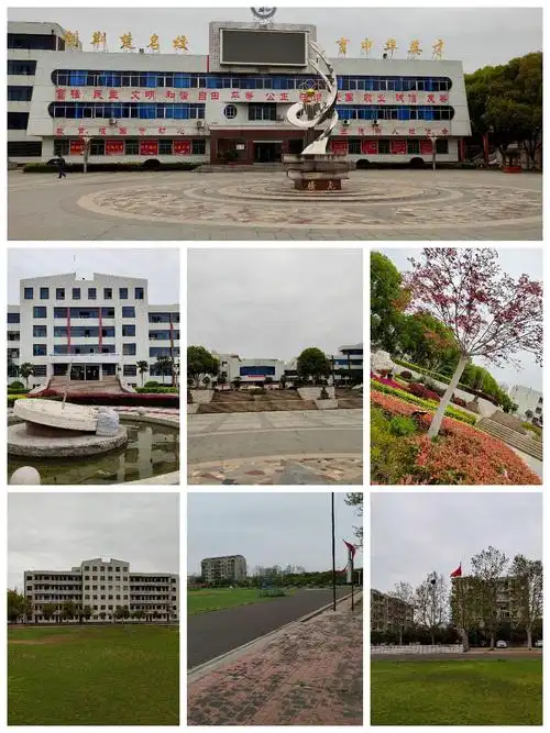 其它 成熟在逆境 成功在绝境 写美篇                 枣阳二中高三