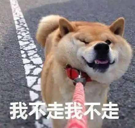 我不走我不走 - 你跟你女朋友讲道理时候她的样子_狗子_doge_摇头表情