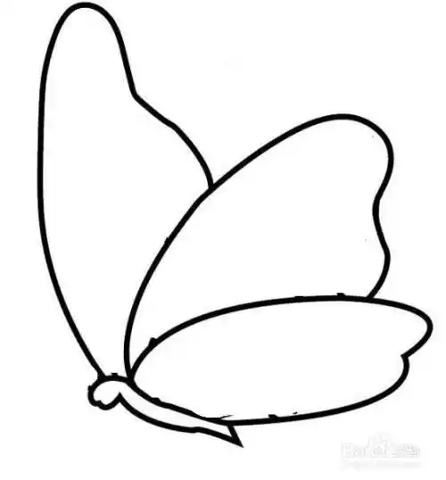飞舞的蝴蝶简笔画