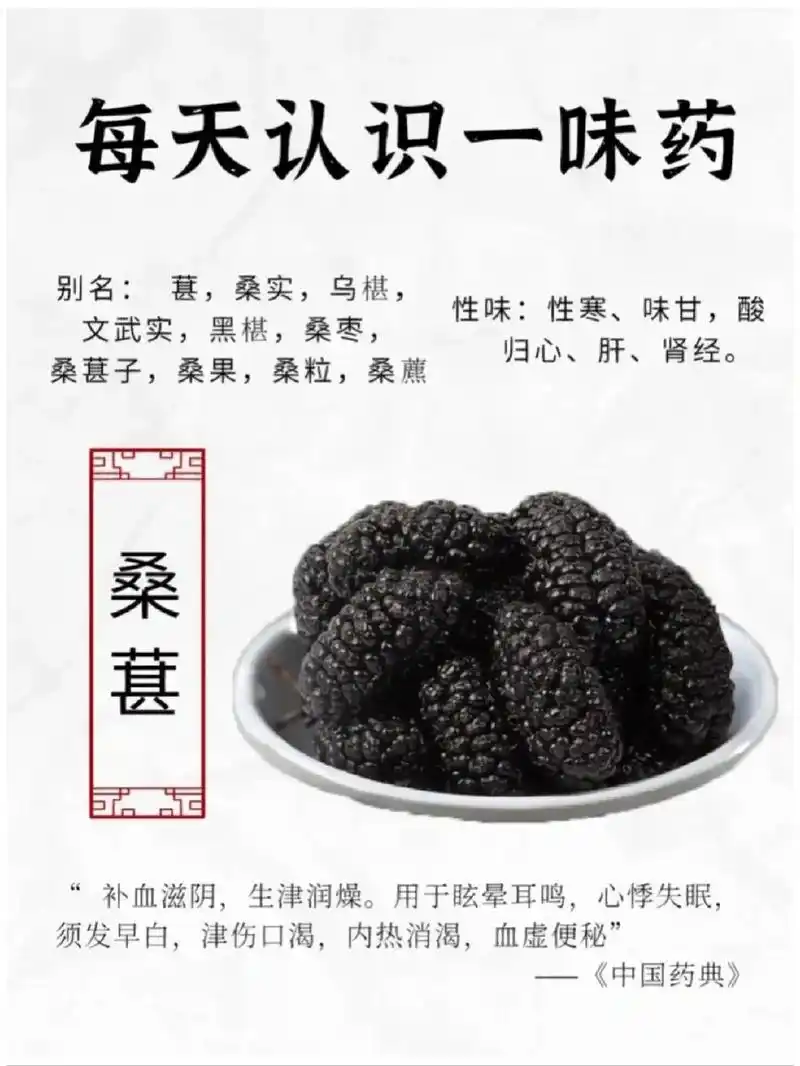 91 众里寻宝,桑葚之功效与作用华丽登场.天地间,有一种名为 - 抖音