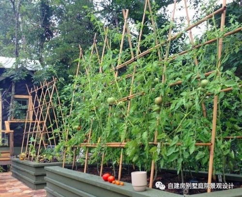 菜园怎样设计既美观又实用?设计师为您详细解读
