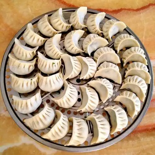 爱吃一号1做的韭菜猪肉饺子最简单最好吃又最多汁的饺子