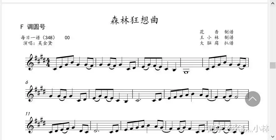 吴金黛森林狂想曲小提琴大提琴单簧管长笛萨克斯小号长号圆号独奏谱