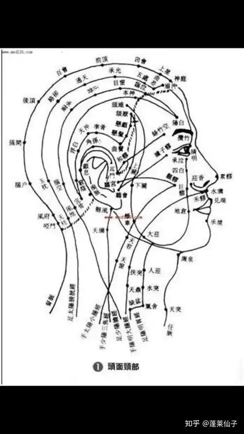 神奇的面部经络 - 知乎