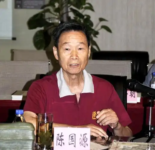 著名收藏家陈国源发言