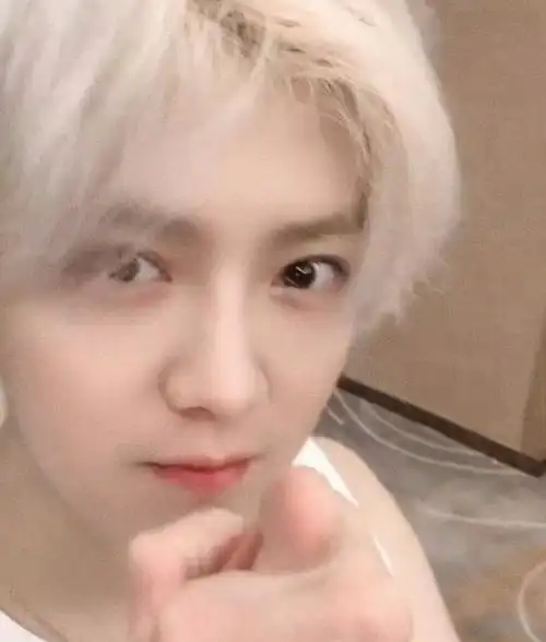 鹿晗银发剪短了