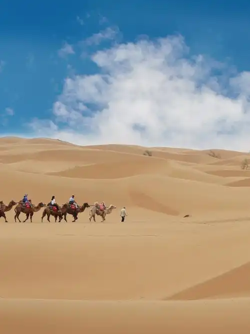 690_920竖版 竖屏