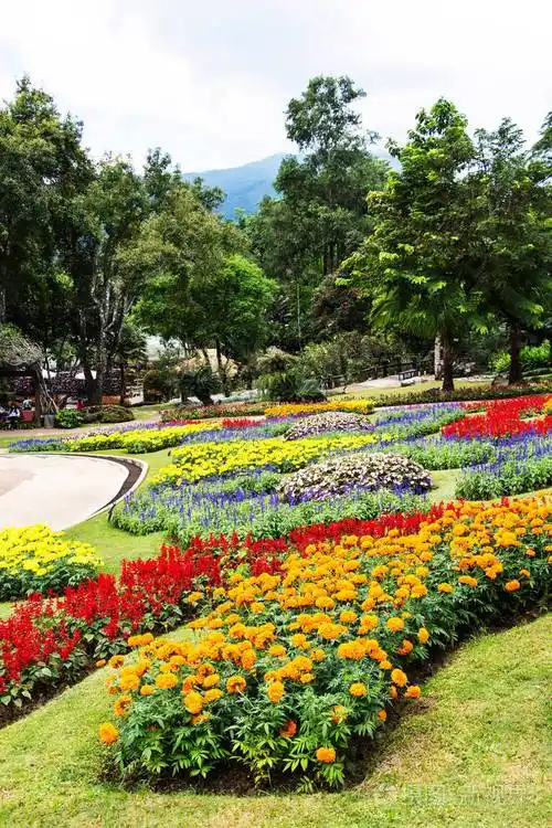 美丽的花园在春天doi董泰国