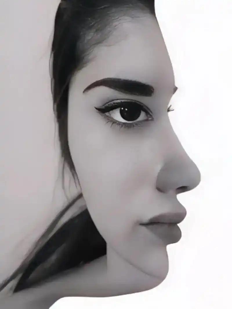 心理测试:这张图你第一眼看见的是正脸还是侧脸?