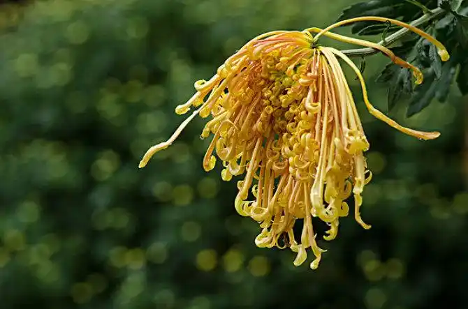 单个物体图片_全景网