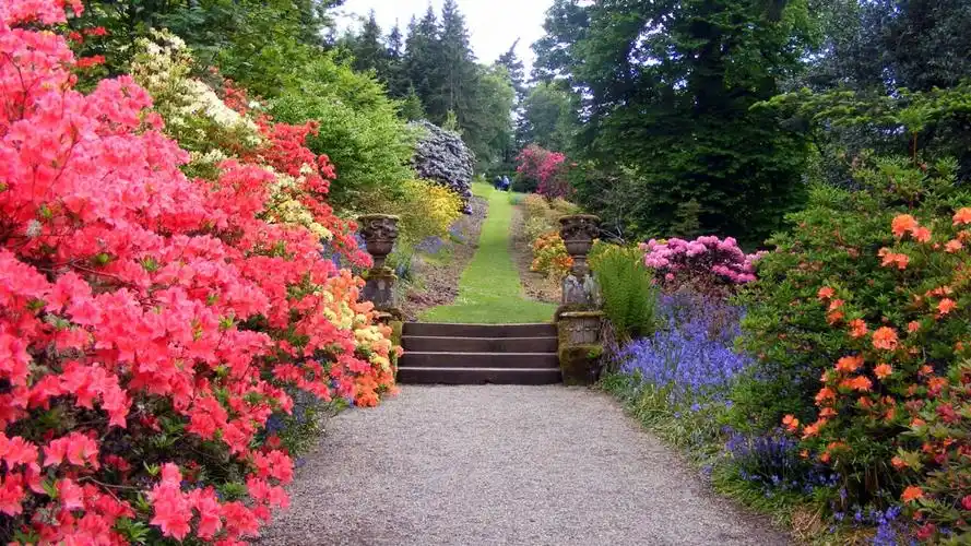私家花园图片大全-风景壁纸-高清风景图片-第10图-娟娟壁纸