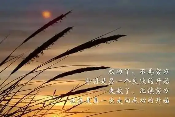 不负韶华的励志句子:不负青春励志唯美短句(精选40句)_探秘志