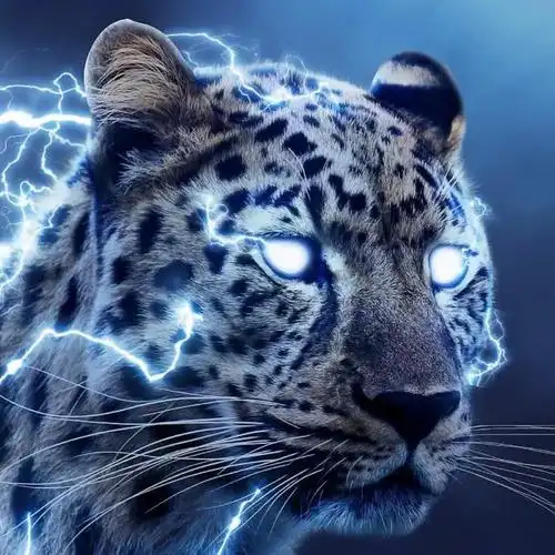 由美头网整理发布,单张头像频道提供更多与猎豹,动物,霸气相关的头像