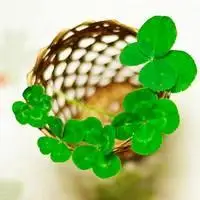 简洁个性四叶草头像