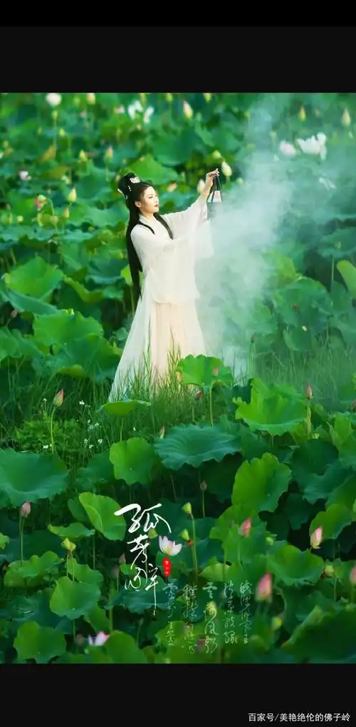 荷花池的美丽仙女