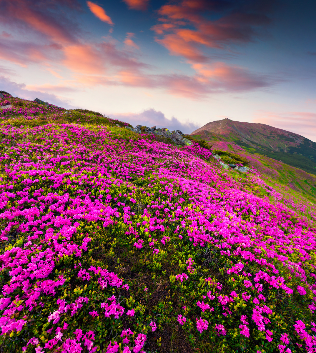 当我们陶醉于大自然的鬼斧神工时,也不能忘记我们身处的环境正在