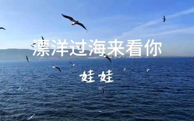 异地恋情歌 漂洋过海来看你 原唱娃娃