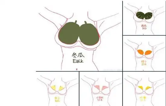 e罩杯多大怎么挑选合适的文胸