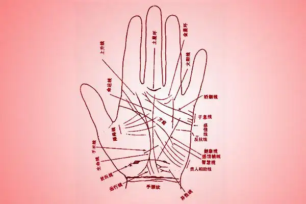 手相告诉你,哪些男人值得托付终身!