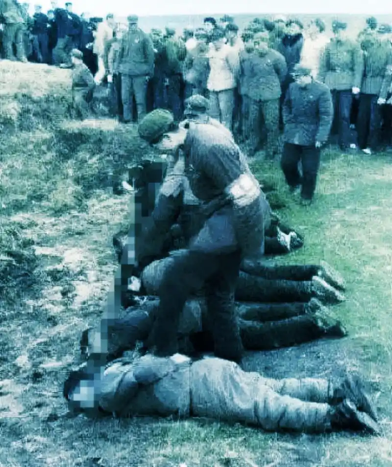 这是60年代,郊外的刑场,一群犯人被执行死刑的现场,照片中的尸体并成