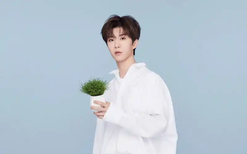 原创娱乐点评赵丽颖李现关晓彤范丞丞李菲儿虞书欣