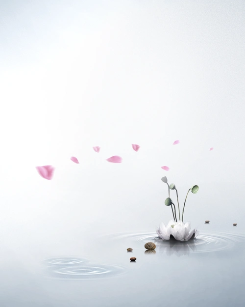 养生海报背景素材 - 当图网