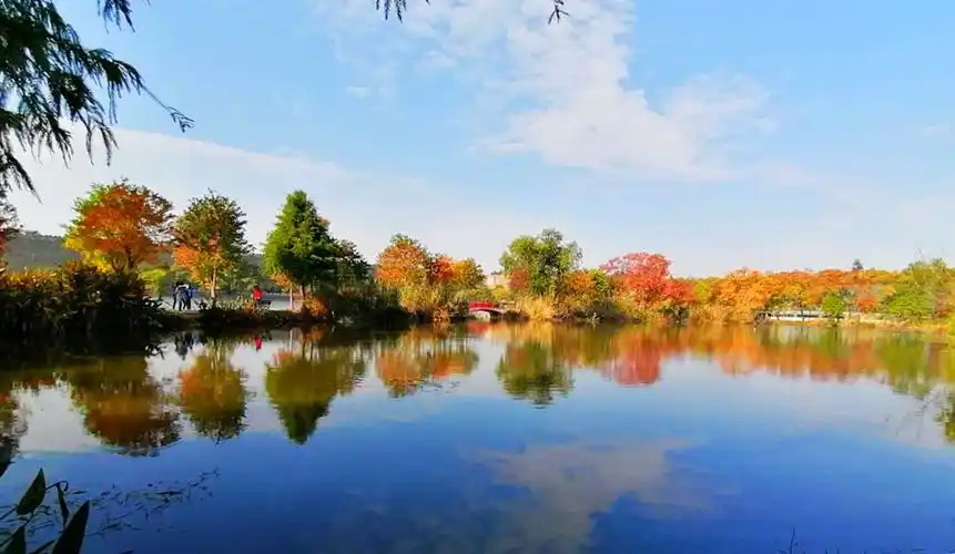 顺光拍蓝天(手机拍摄)