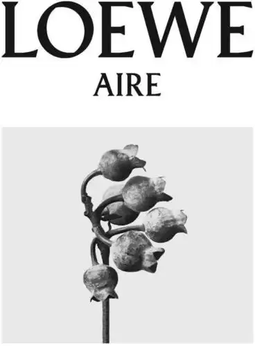 loewe aire