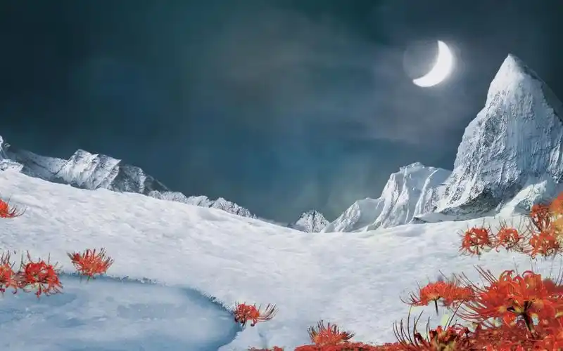 【浅赋流音古风音乐社】第四届古风歌曲翻唱大赛