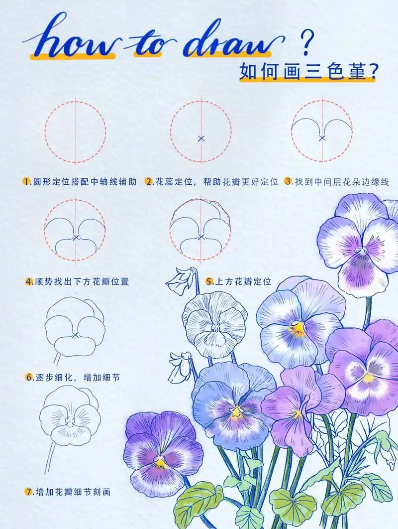 绘画教程——如何画三色堇 #procreate绘画 #绘画过 - 抖音